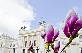 Universitetshuset med magnolior.