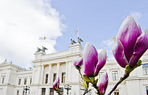 Universitetshuset med magnolior.